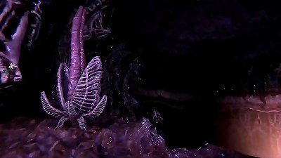 zeal from Beyond Part 4