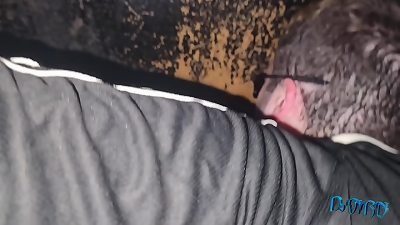 I put on the drip and the magnifying glass to take and deep-throat a few spears in the cabins of downtown S&atilde;o Paulo (COMPLETE ON RED)